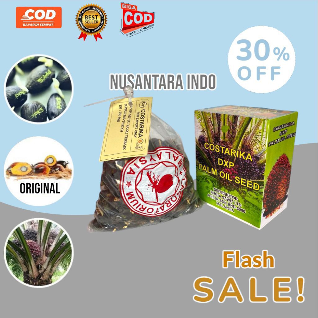 bibit kecambah sawit unggul Kostarika original bersertifikat 250 butir