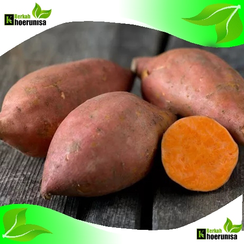 

Paket Kargo Umbi Ubi Jalar Oranye 5 kg fresh