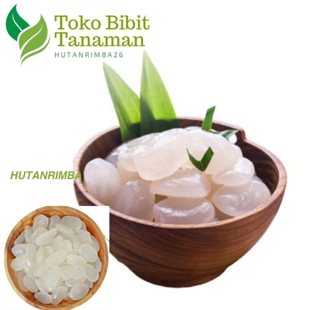 

KOLANG KALING KENYAL SEGAR BAHAN MANISAN, ATAUPUN RUJAK