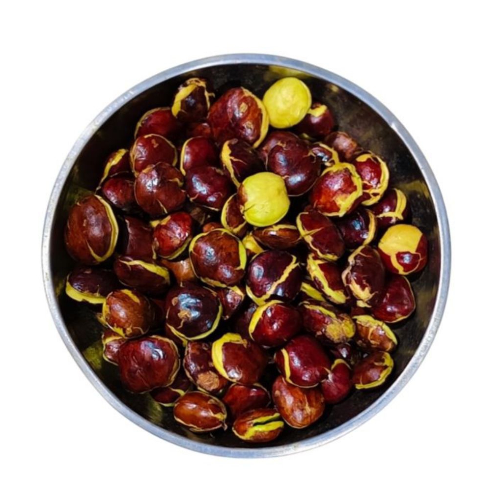 

jengkol tua fresh 1kg