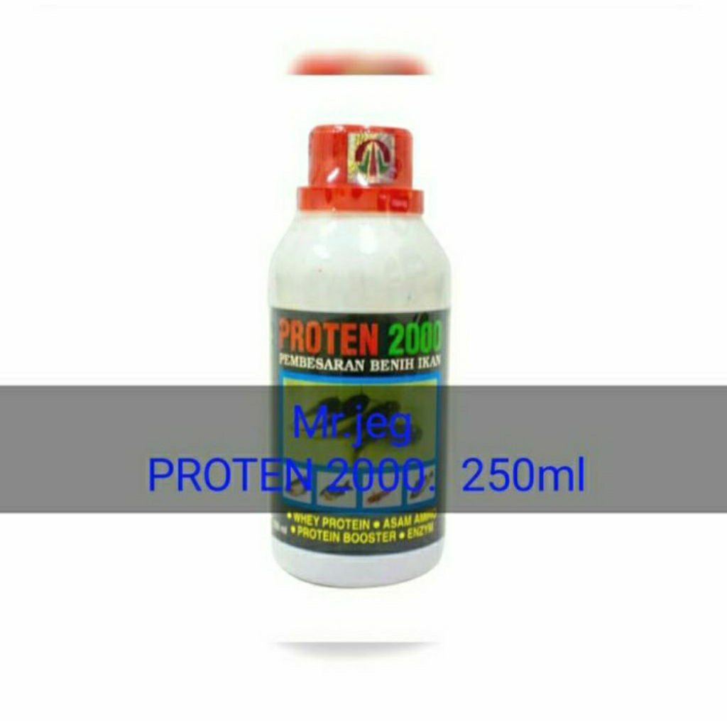 Proten2000