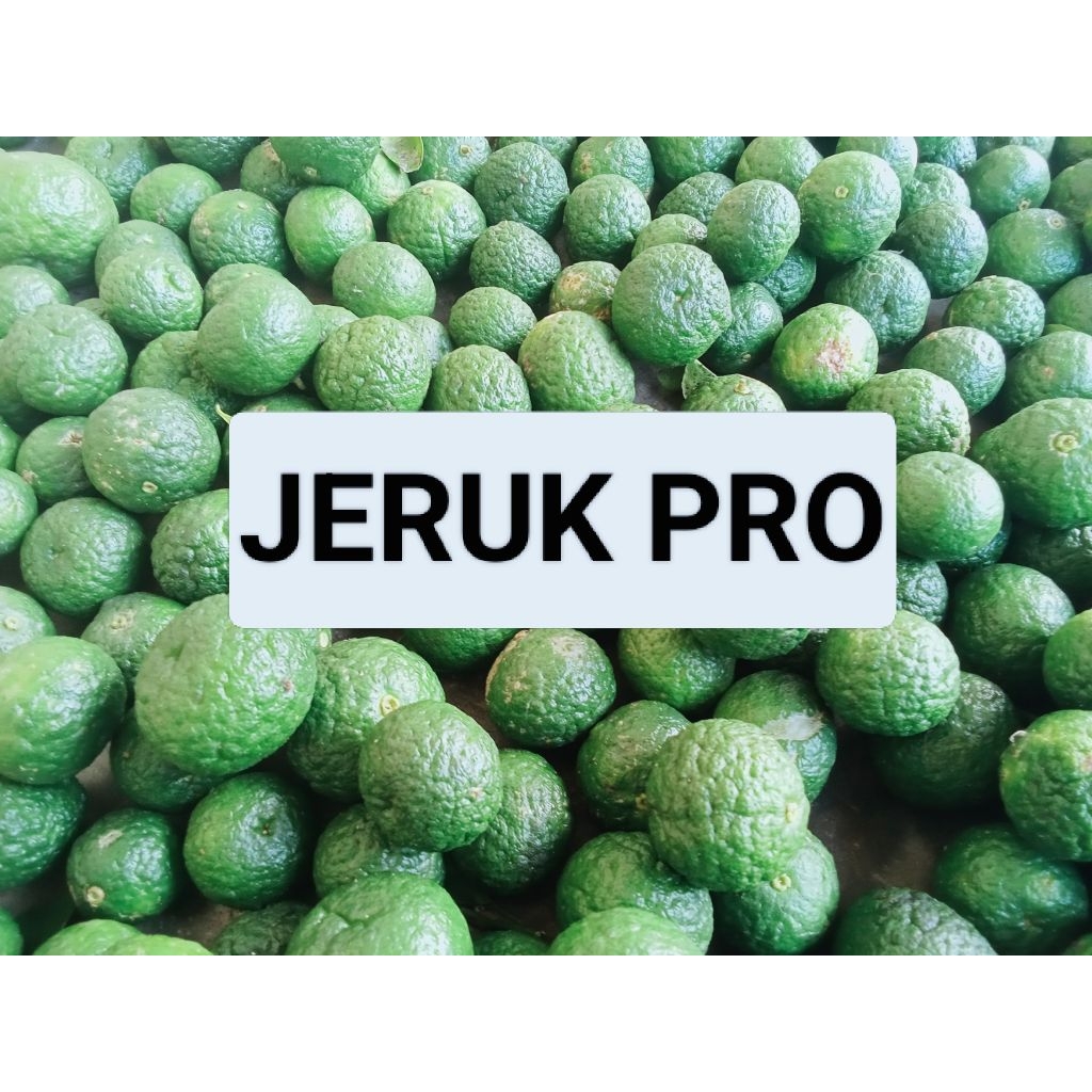 

jeruk limo / jeruk sambel / jeruk kuwek