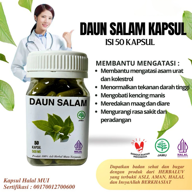 Kapsul Daun Salam Original Herbal