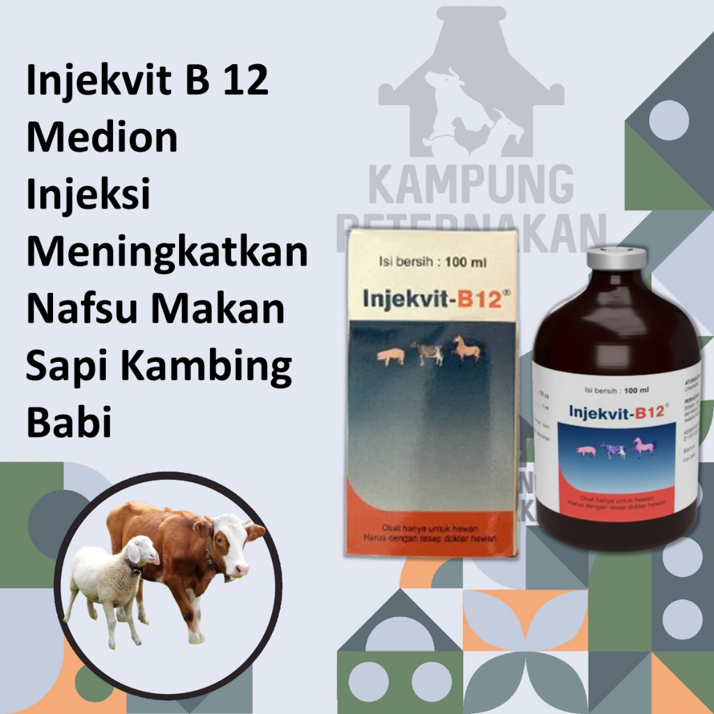 Injekvit B 12 Medion Injeksi Meningkatkan Nafsu Makan Sapi Kambing Babi