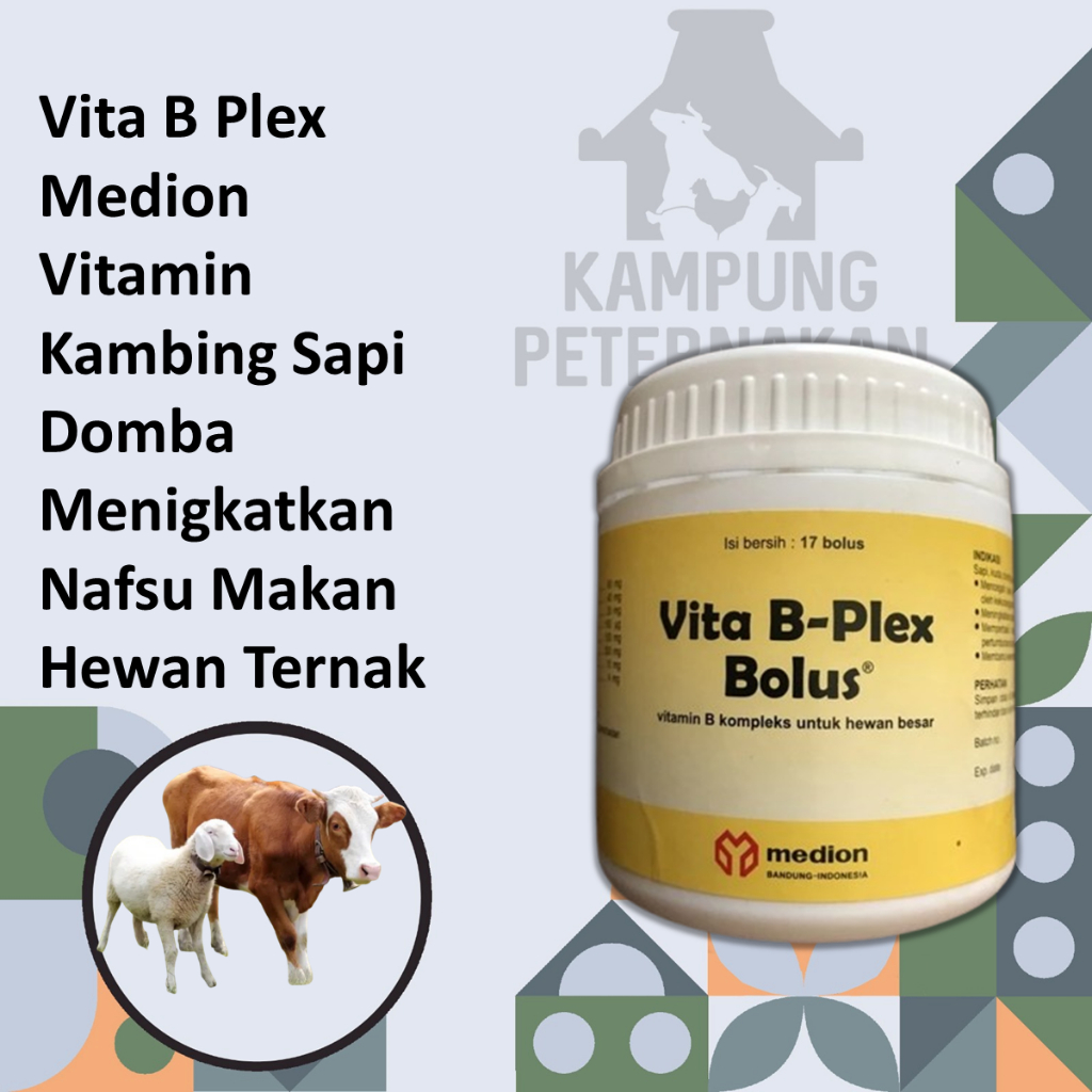 Vita B Plex Medion Vitamin Kambing Sapi Domba Meningkatkan Nafsu Makan Domba
