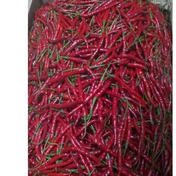 

Cabe kriting merah 1kg ½kg ¼kg
