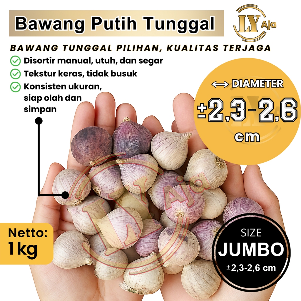 

Bawang Putih Tunggal 1Kg Premium Super Jumbo Besar Sedang Kecil LY Aja - Lanang