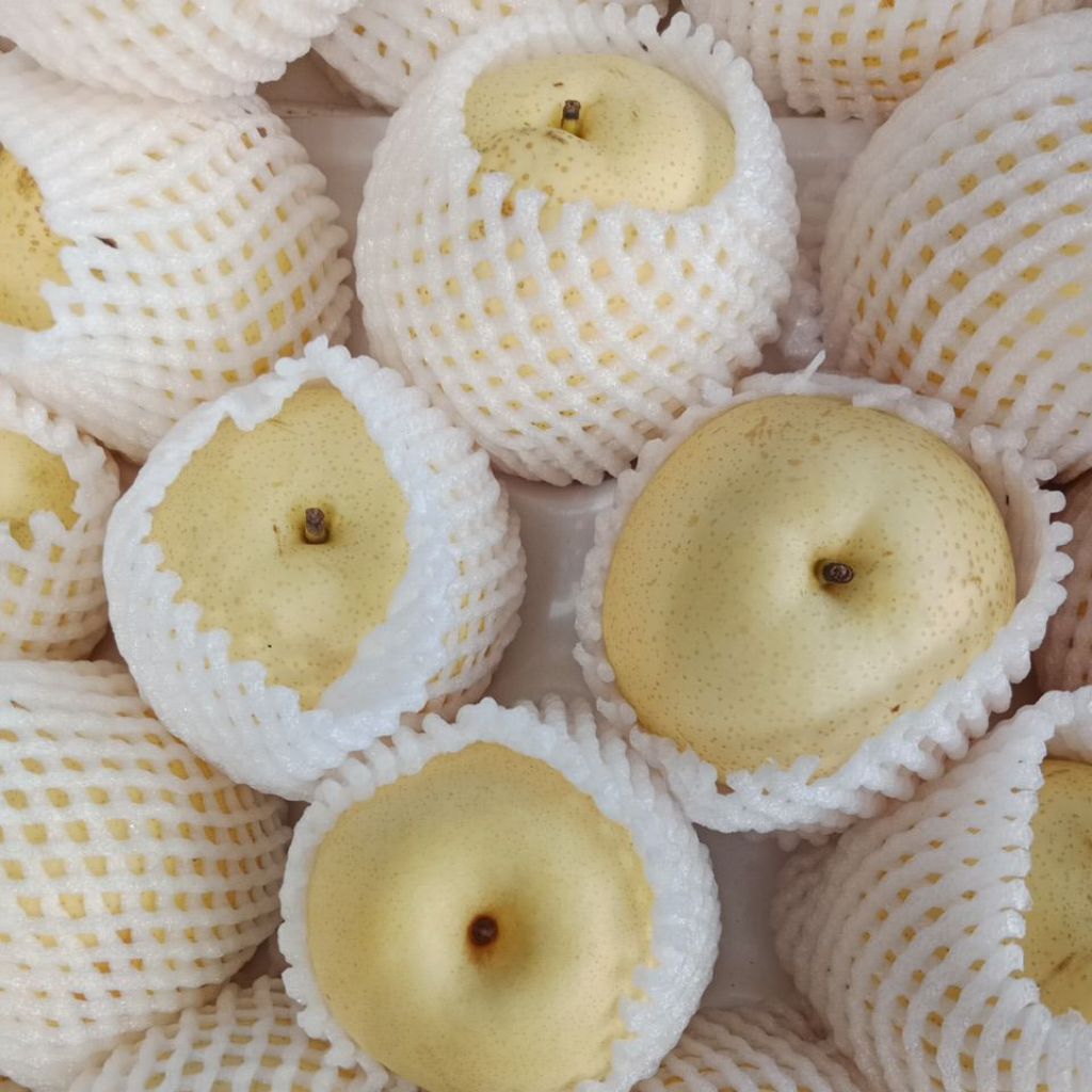 

Buah Pir Madu/Pear madu/pir manis