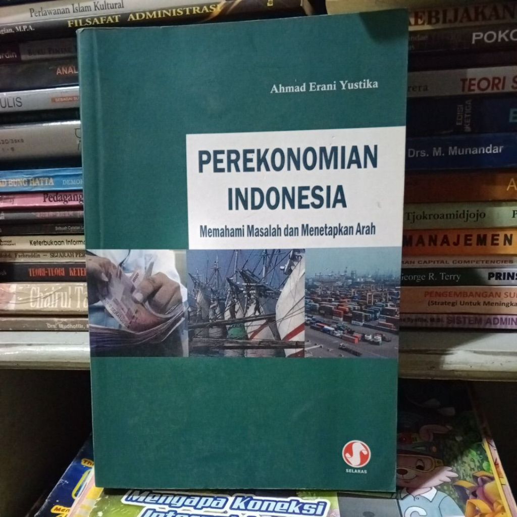 PEREKONOMIAN INDONESIA. Ahmad Erani Yustika. BUKU bekas.