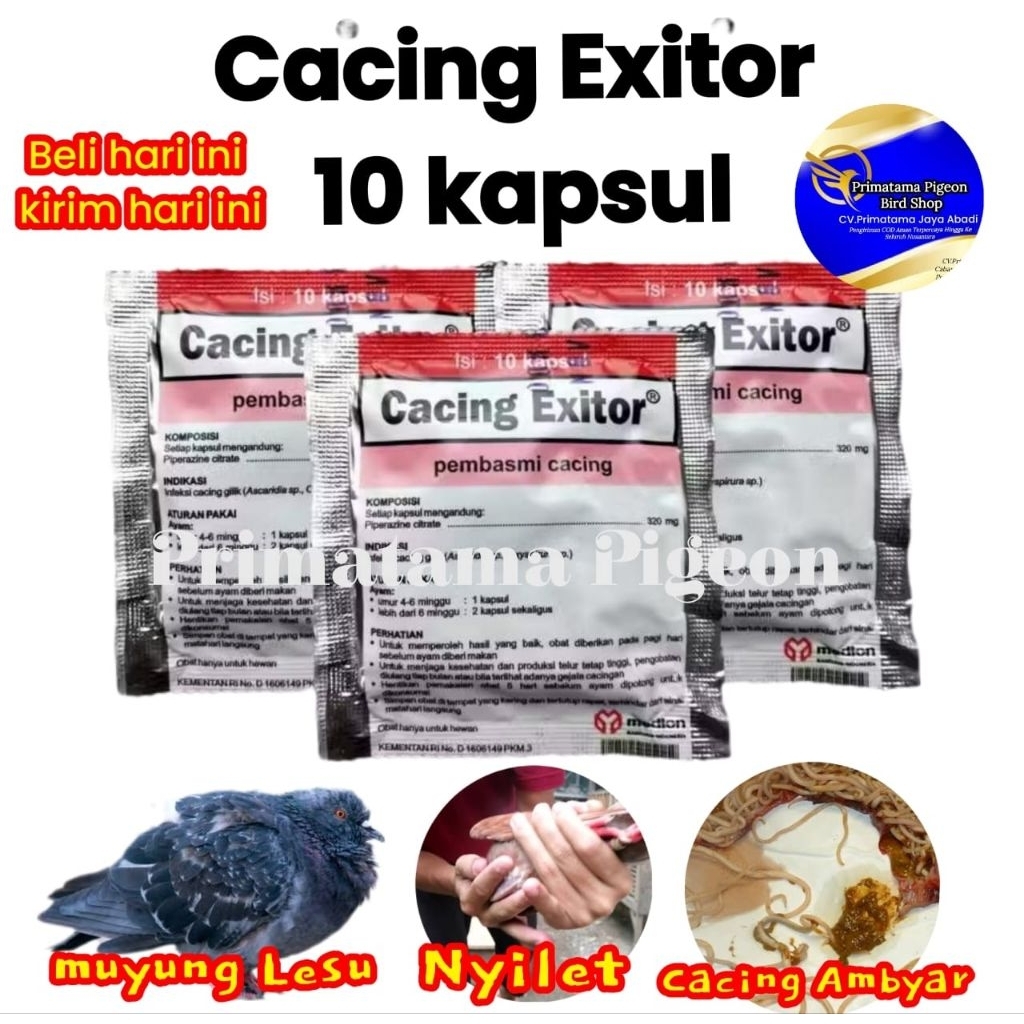 CACING EXITOR ISI 10 KAPSUL OBAT BURUNG MERPATI AYAM SAKIT BURUNG CACINGAN UNGGAS OBAT PEMBASMI CACI