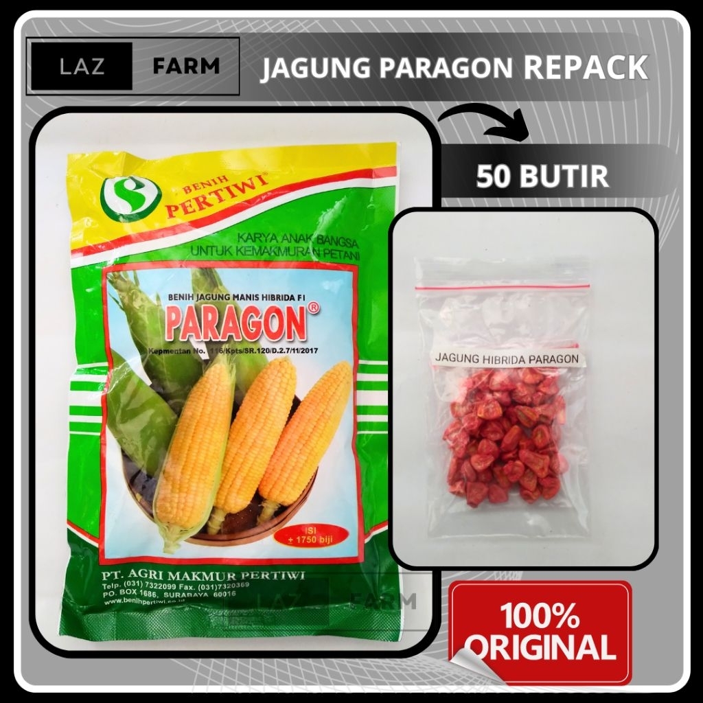 50 BUTIR BENIH JAGUNG MANIS HIBRIDA F1 PARAGON BENIH PERTIWI ORIGINAL KEMASAN REPACK