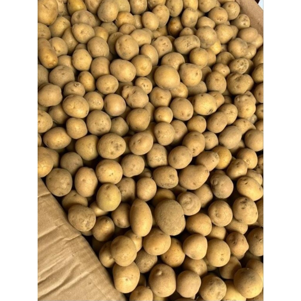 

kentang baby 1kg garansi n fresh untuk rendang atau saomay free packing kardus