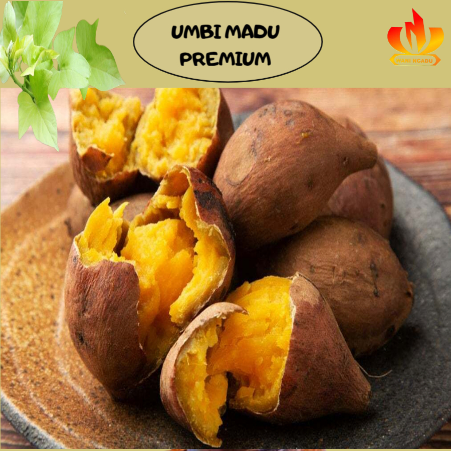 

Ubi Cilembu Premium Super Madu Asli 1kg Isi Banyak 5-9