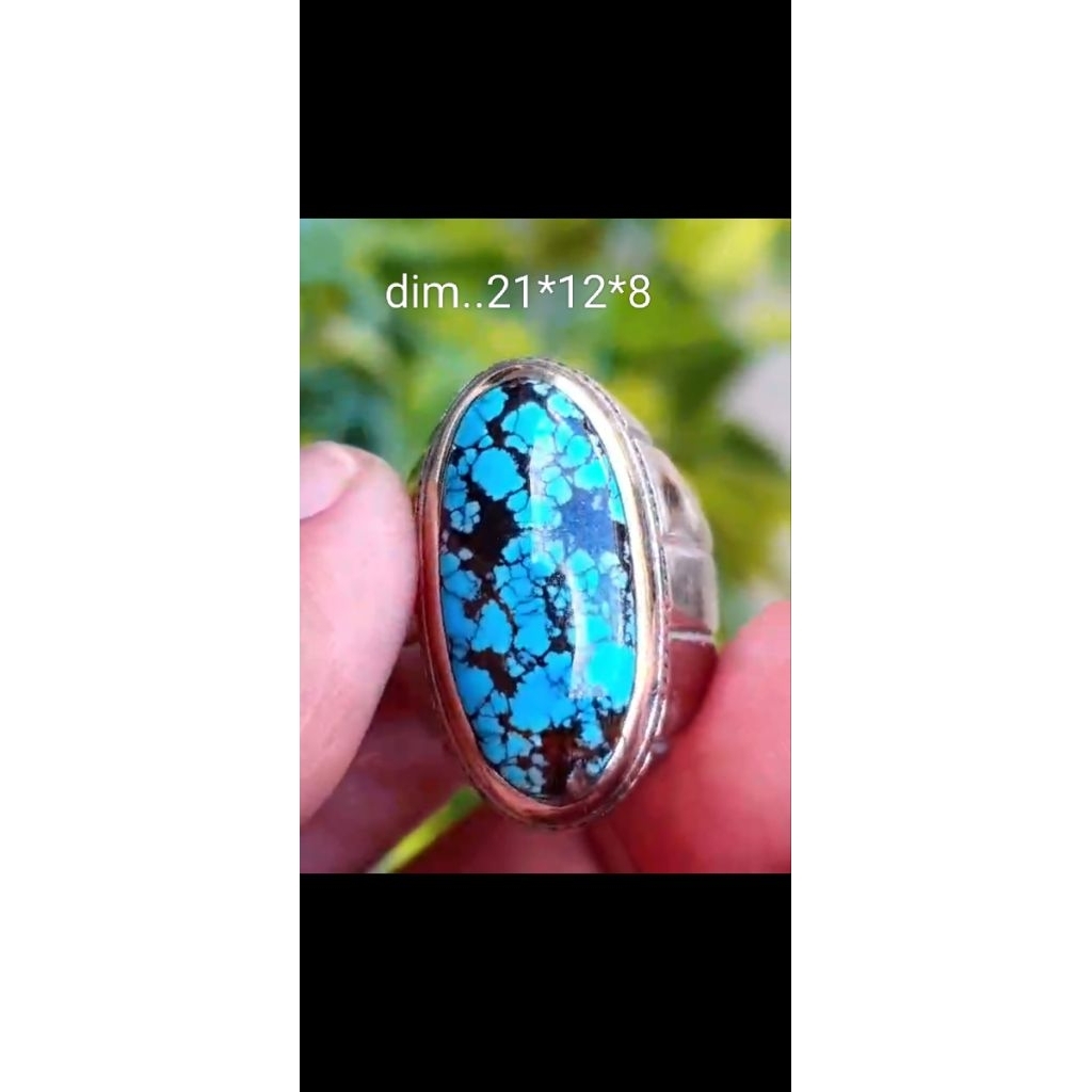 pirus Persia ceplok kuro