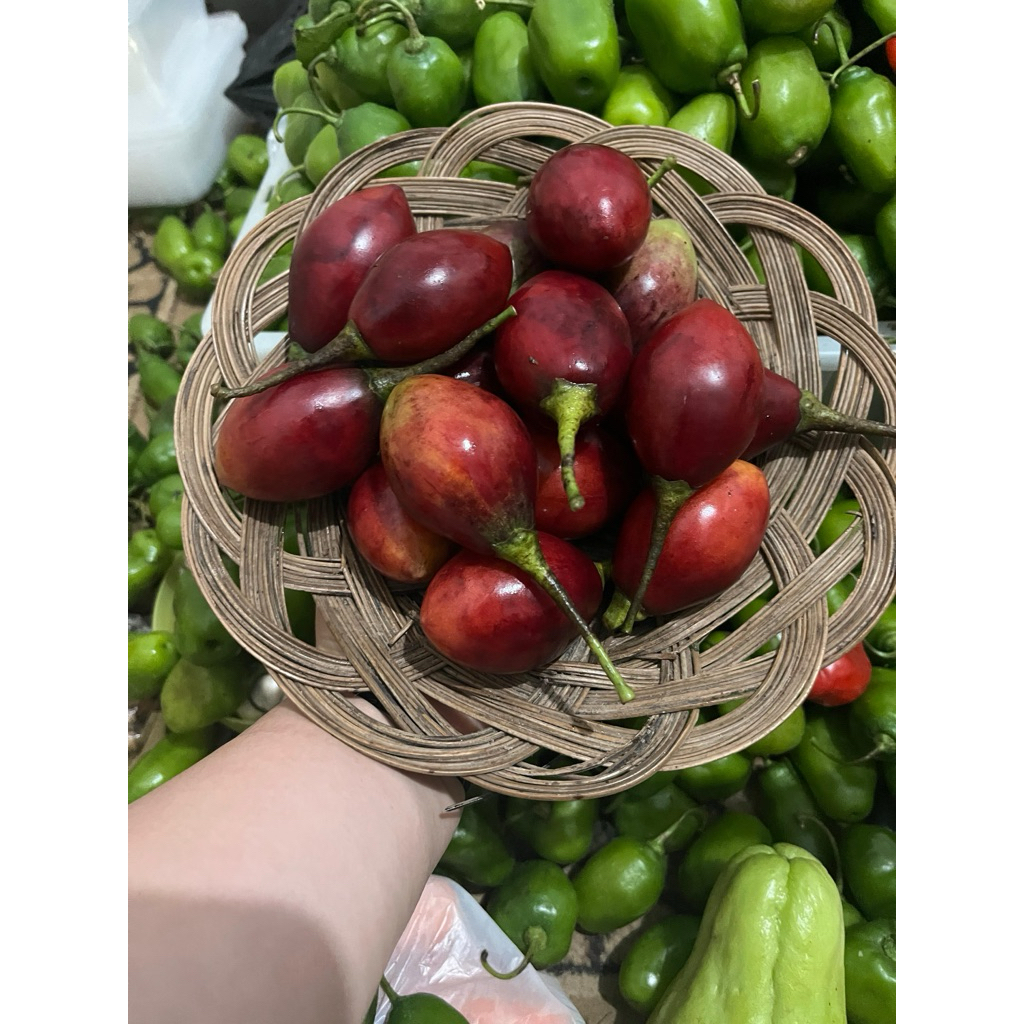 

Terong Kori / Terong Belanda 500gr