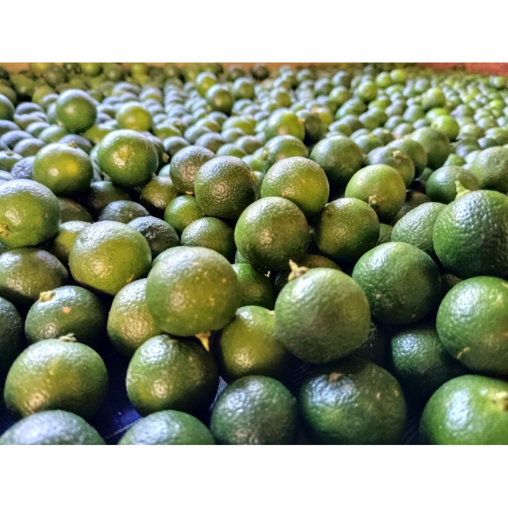 

1KG JERUK SONKIT KASTURI KUNCI