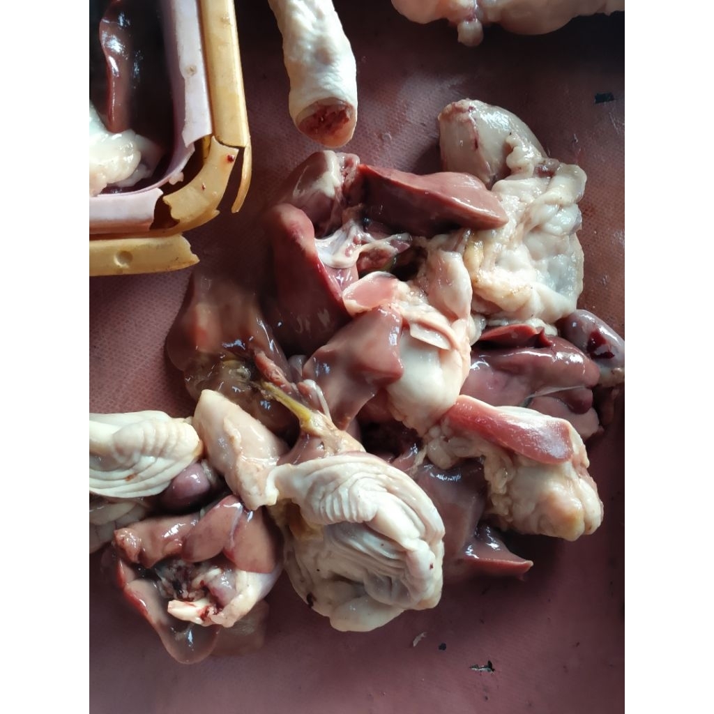 

AMPELA HATI 1000 gram