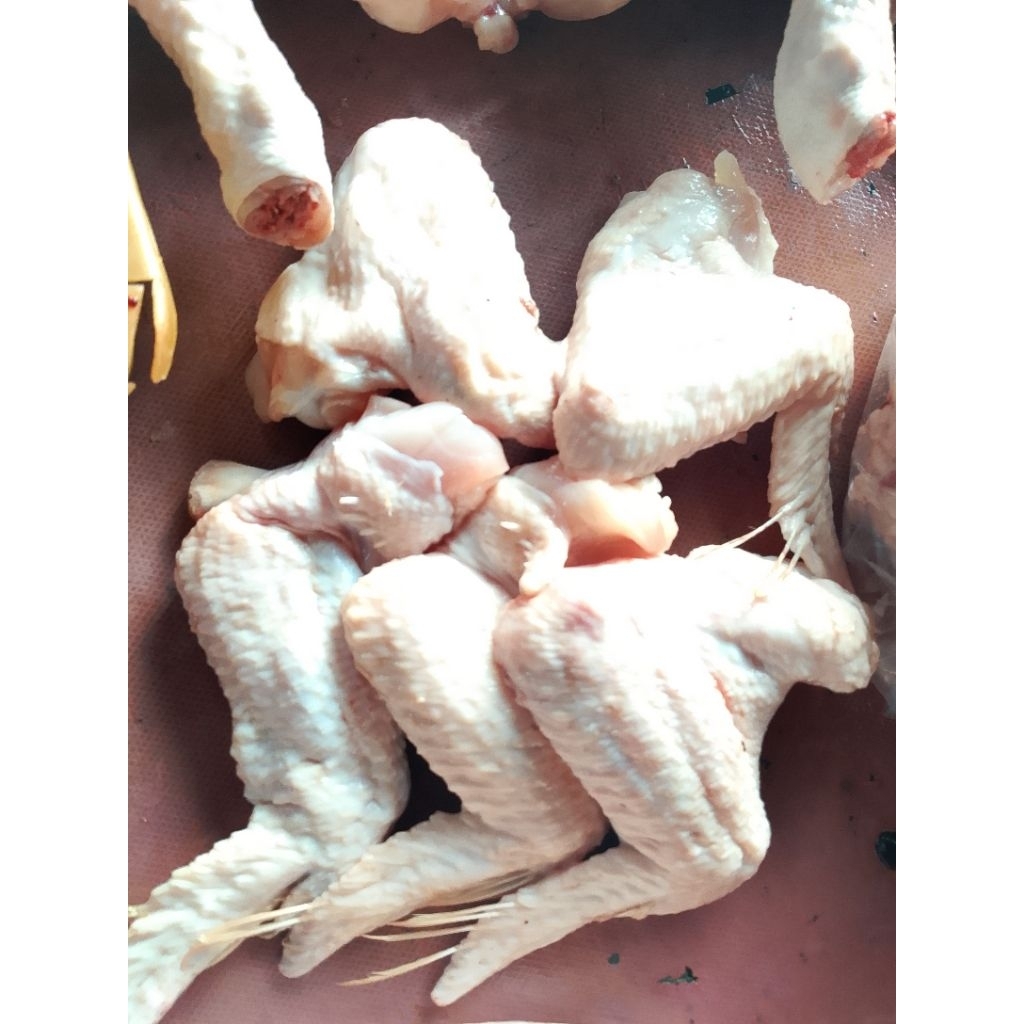 

SAYAP AYAM 1000 GRAM