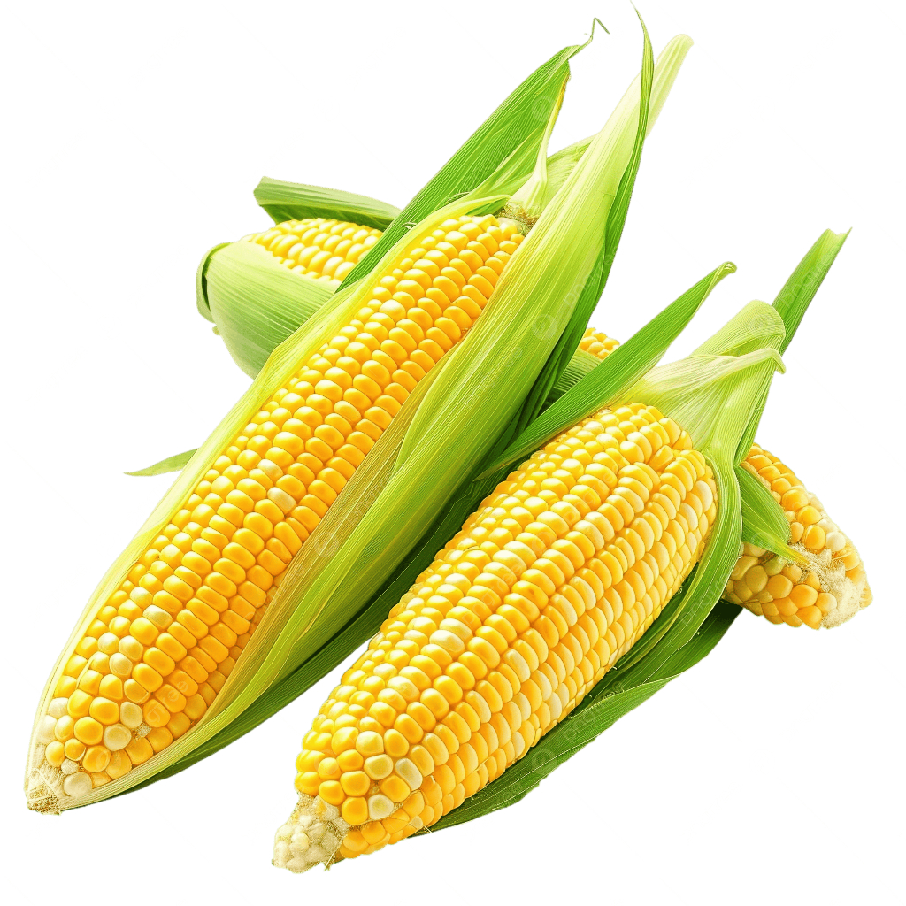 

Jagung Manis Segar Fresh 500 gram / Pengiriman Kilat Surabaya