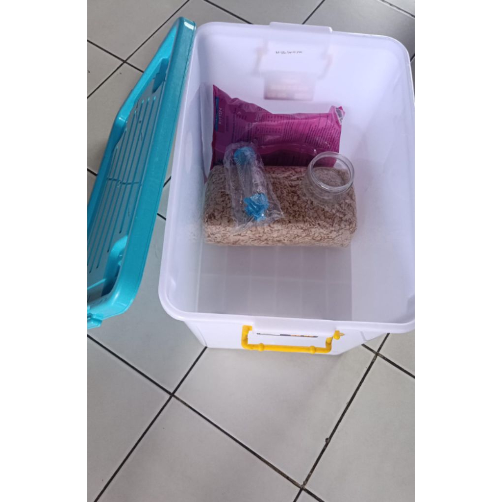 Paket kandang landak mini/Hamster