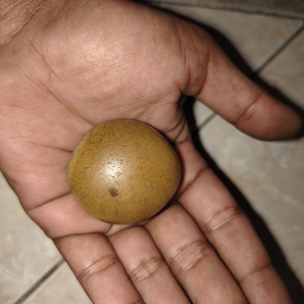 batu warisan bmrjbntk peninggalan langka kuno antik