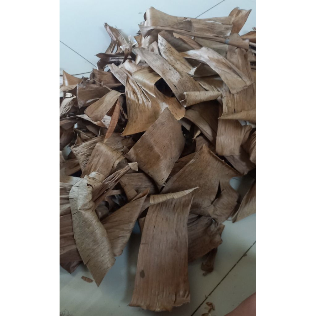 

klaras daun pisang biji 500grm kering untuk kultur infosoria