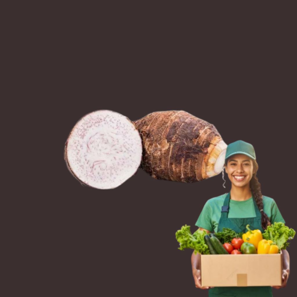 

TALAS PUTIH UMBI UMBIAN LOKAL