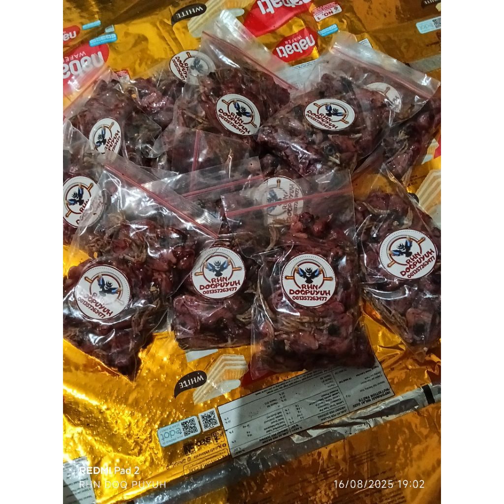 doq(anak puyuh jantan) frozen