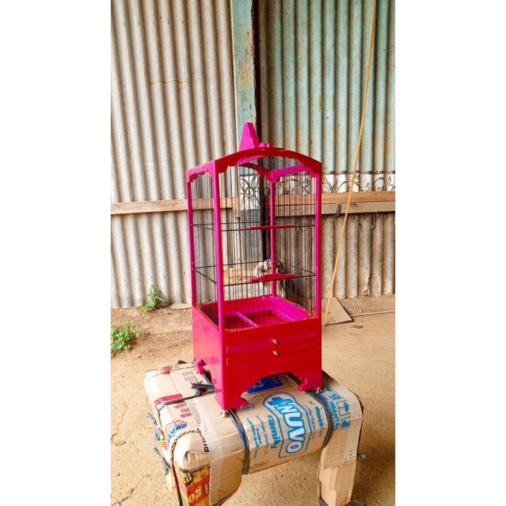 Sangkar Burcil Uk 21x21 untuk Pleci Bahan Kayu Jati, Ruji Fiber Cocok untuk Terasan Nuruh Kesayangan