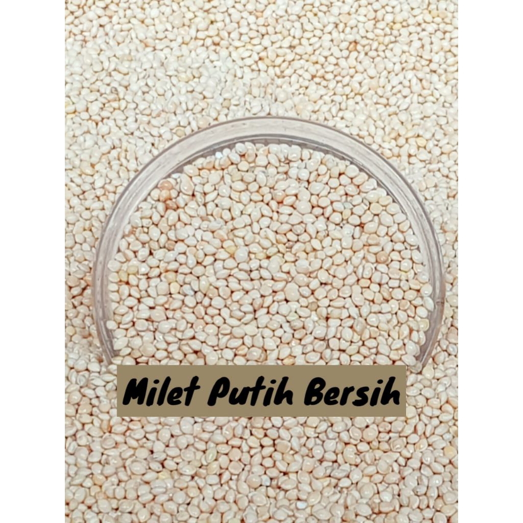 

1 Kg Biji Milet Putih Bersih