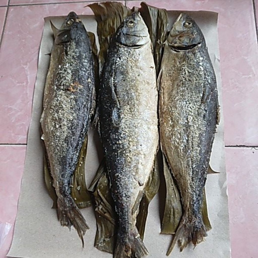 

Salmon Presto Lunak Duri 500gr ✅ Ikan Salmon Bergizi & Lezat