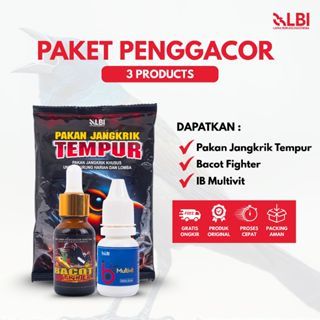 LBI - Paket Penggacor Burung Bacot Fighter, IB Vit, Pakan Jangkrik Tempur