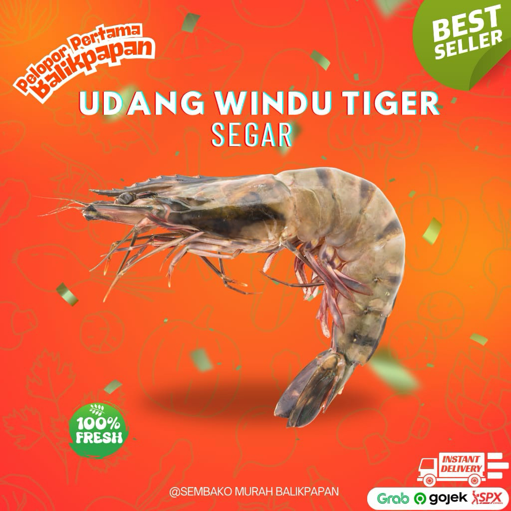 

Udang windu tiger segar