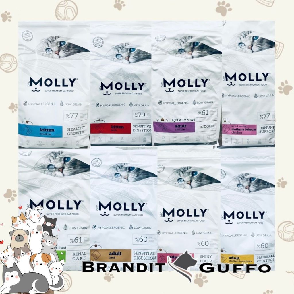 Molly cat food makanan kucing kering catfood kibble cat food kitten food adult cat food