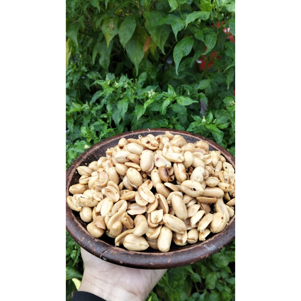 

Kacang bawang kemasan ecer