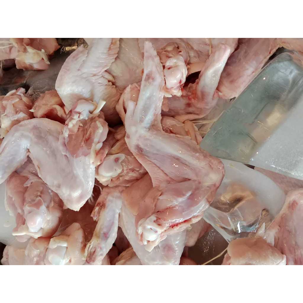 

Sayap Ayam Fresh Berat 1kg isi 8 -10pcs