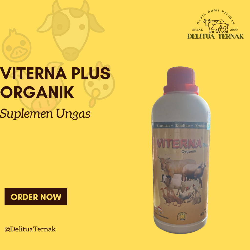 Vitamin Kambing Cepat Gemuk – VITERNA NASA Booster Untuk Penggemukan Sapi, Kambing, Ayam