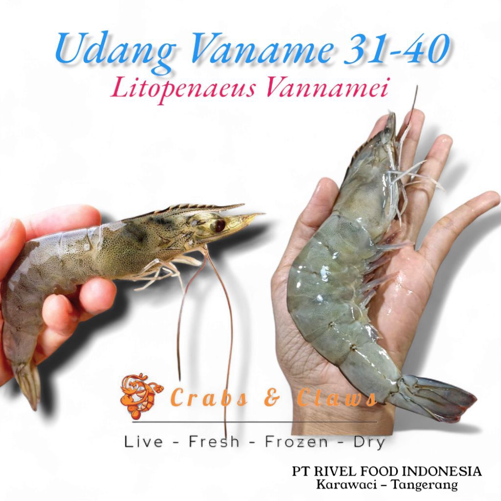 

UDANG VANAME SIZE 31-40 Ekor FRESH FROZEN