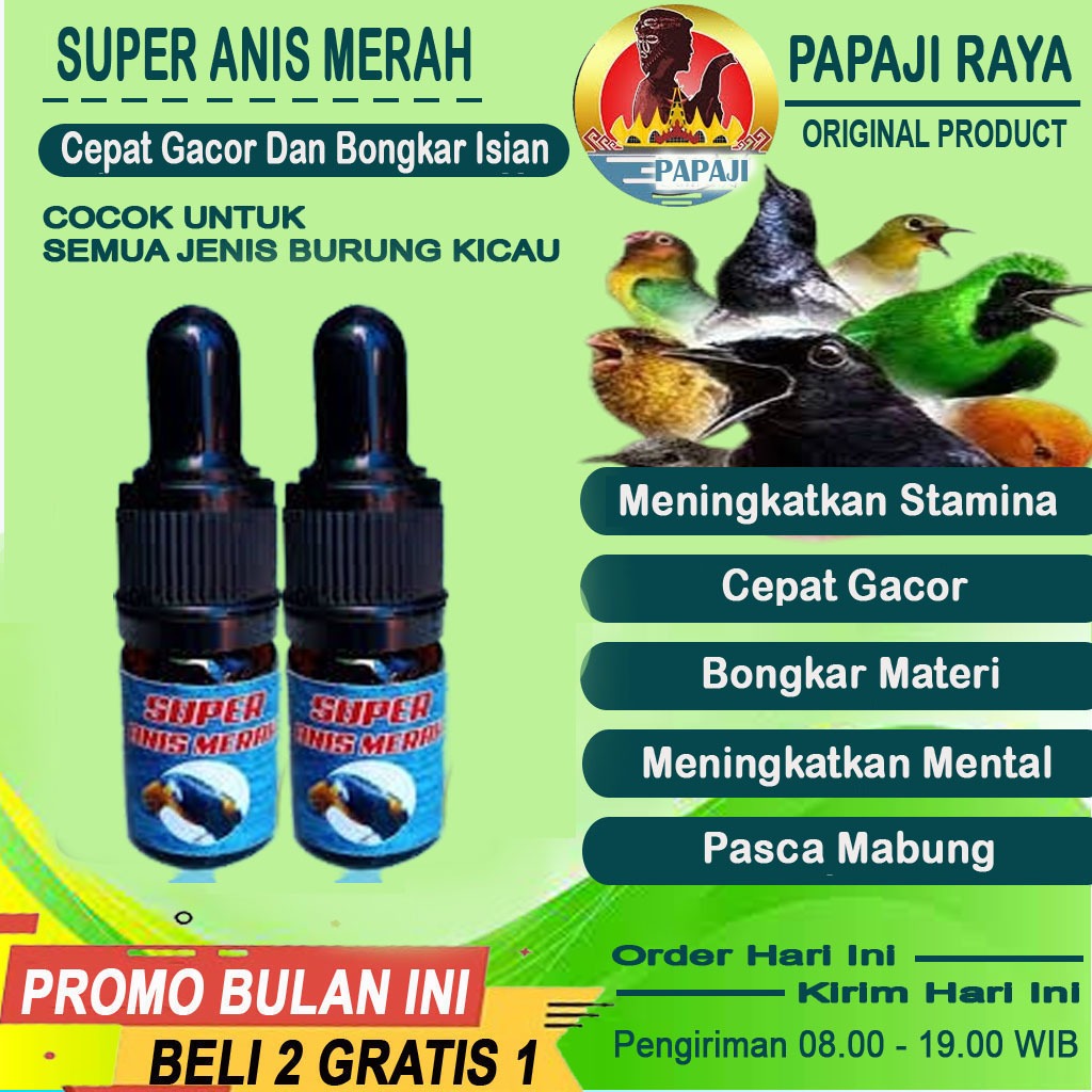 VITAMIN GACOR ANIS MERAH DAN PUNGLOR
