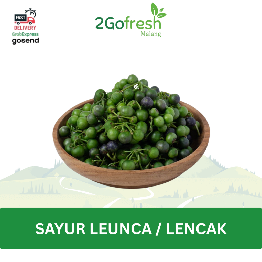 

Sayur Leunca / Lencak Fresh - 2gofresh