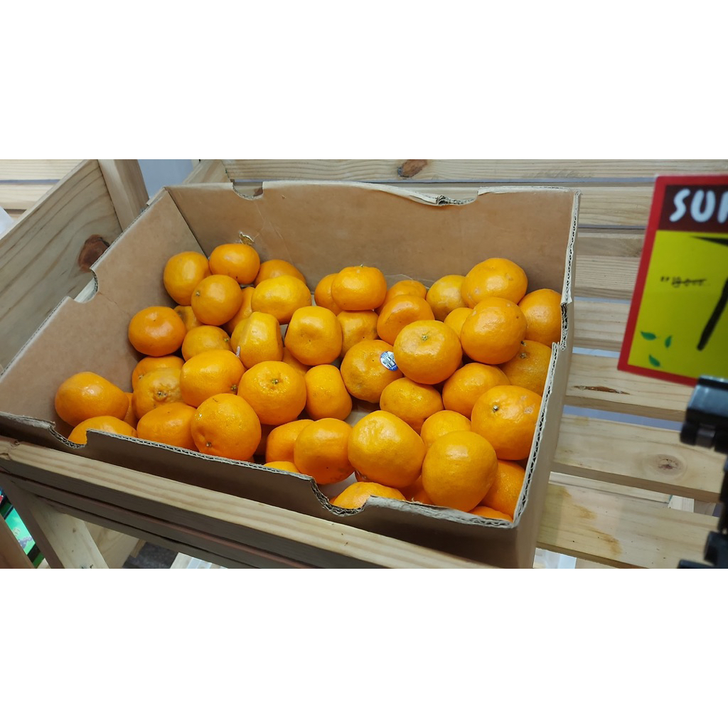 

Jeruk mandarin citrus manis wangi