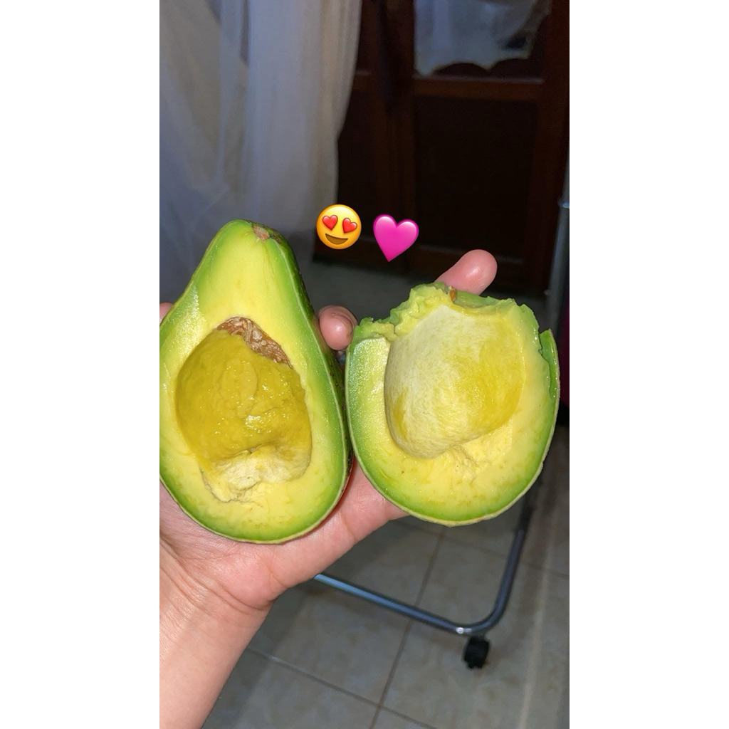 

Pokat mentega premium