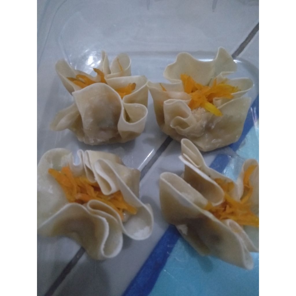 

Wonton / pangsit ayam