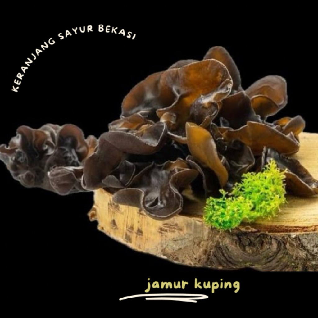 

jamur kuping 250grm