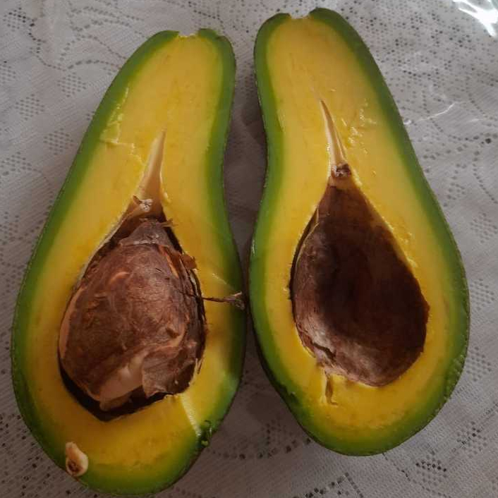 

Alpukat Mentega Aligator Cipedak (Dataran Rendah)