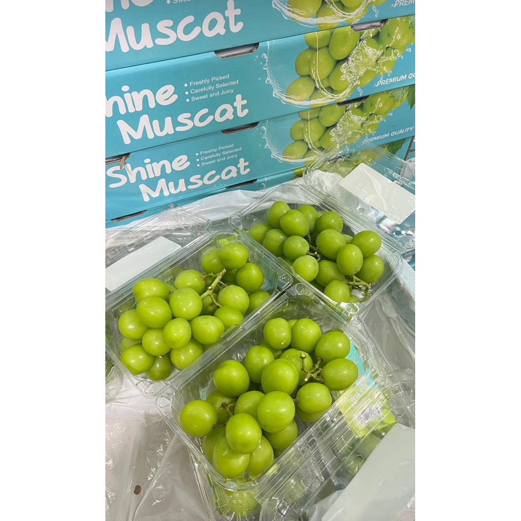 

ANGGUR SHINE MUSCAT PAX 1 DUS ISI 10 PAX