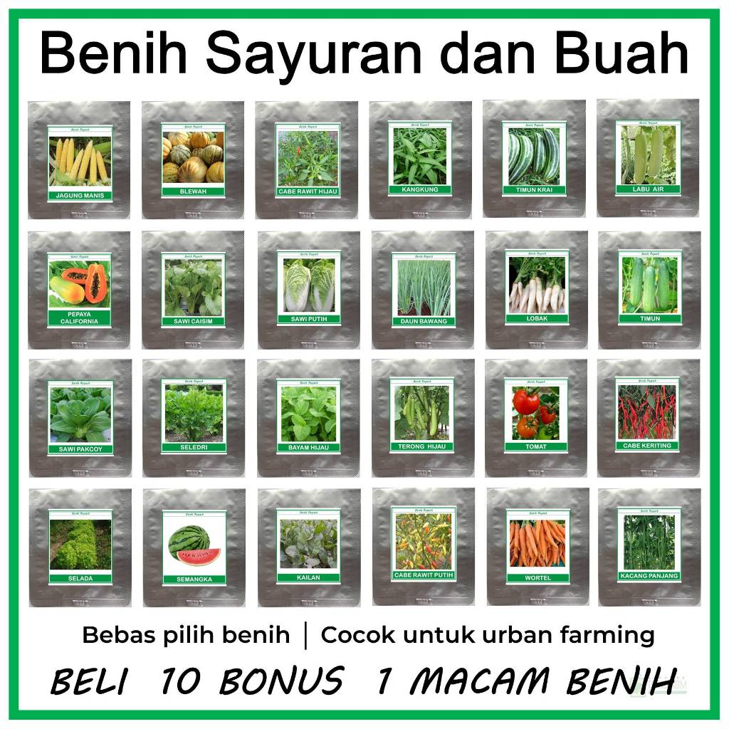 Benih Sayuran dan Buah Kemasan Repack Cocok Untuk Skala Rumahan Urban Farming  Hidropopnik –  Sawi P