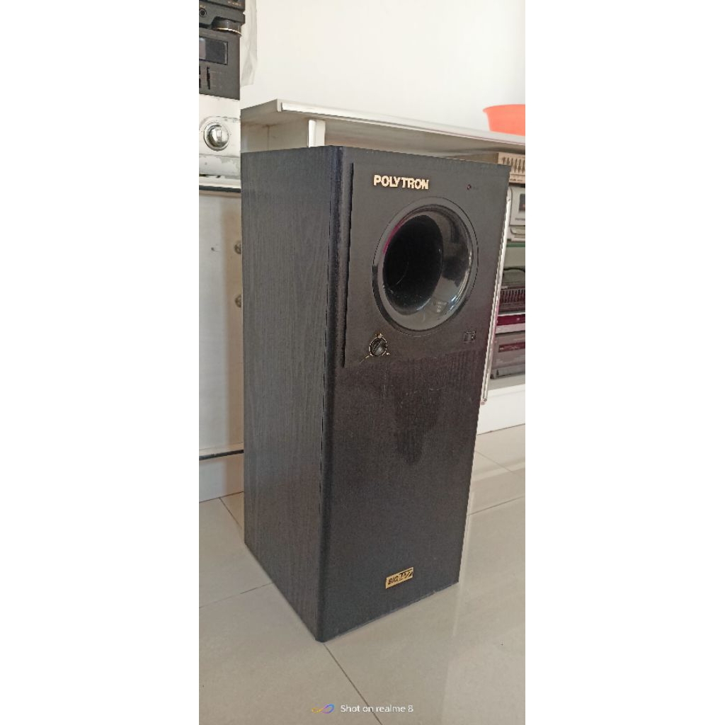 Subwofer Polytron PSW 500i