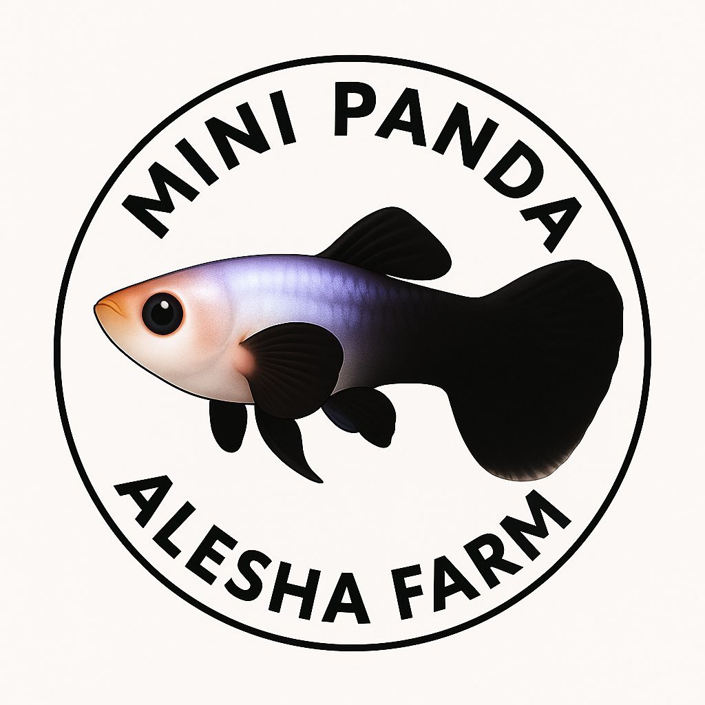 guppy mini panda snackskin