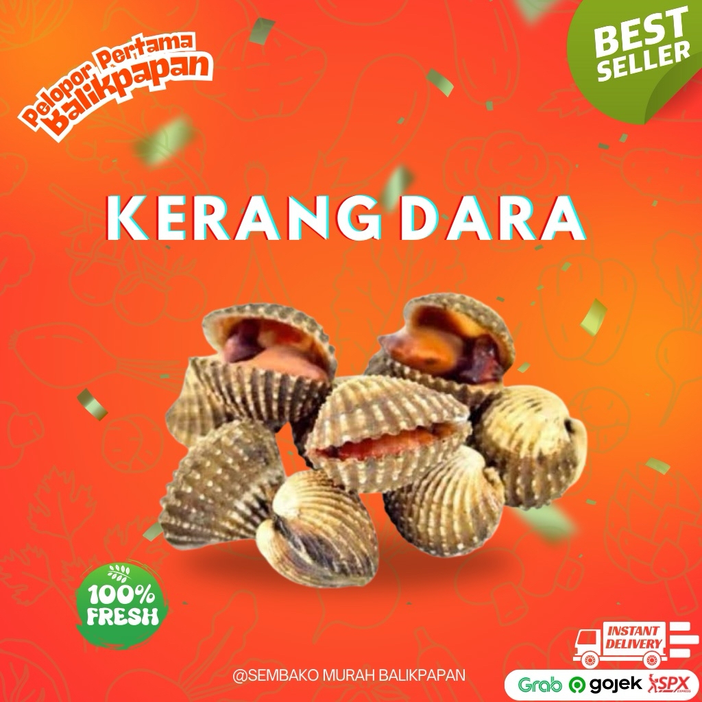 

kerang dara segar (pagi)